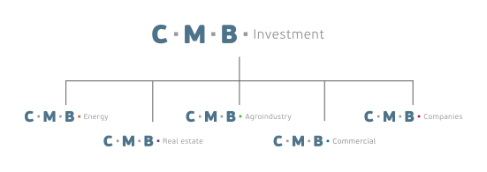 C M B Investment